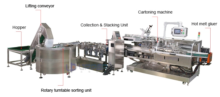 Folding Machine, Packaging Machine, Automatic Cartoning Machine, Manual, Hook, Aircraft Hole, Adhesive Spraying, Adhesive Coating, Cartoning Machine