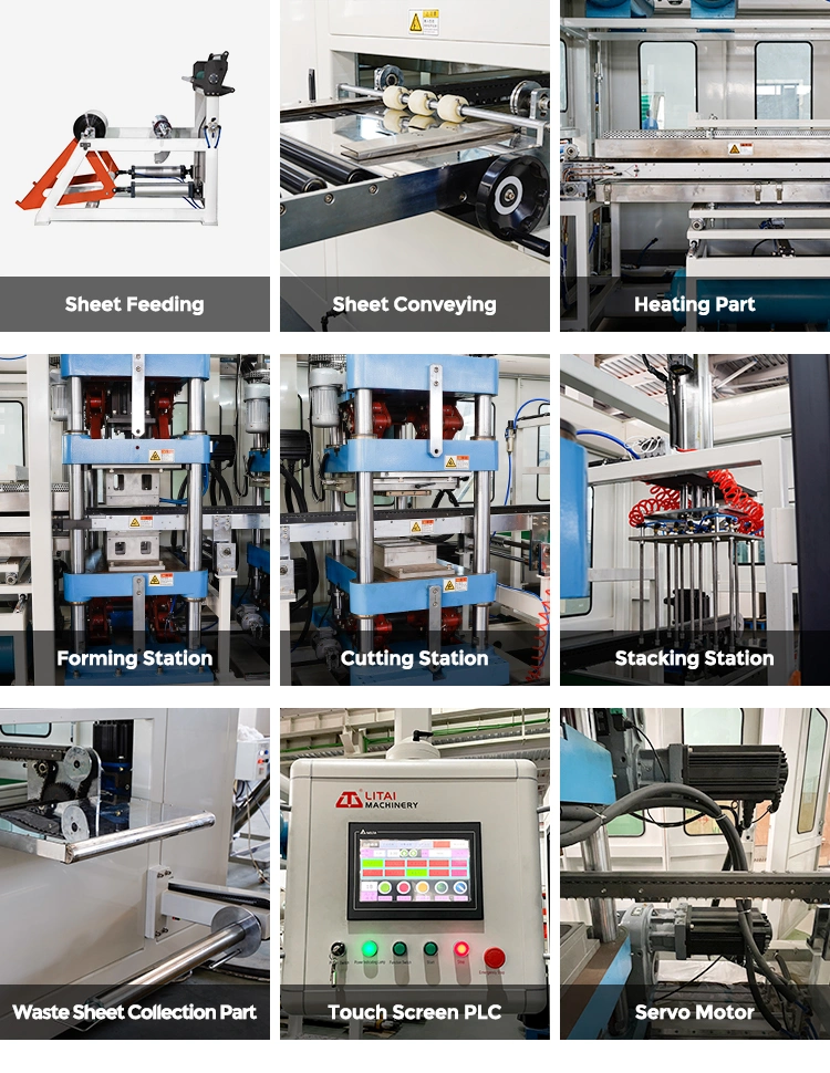 Fully Automatic Food Containers Thermocol Thermoforming Production Machine
